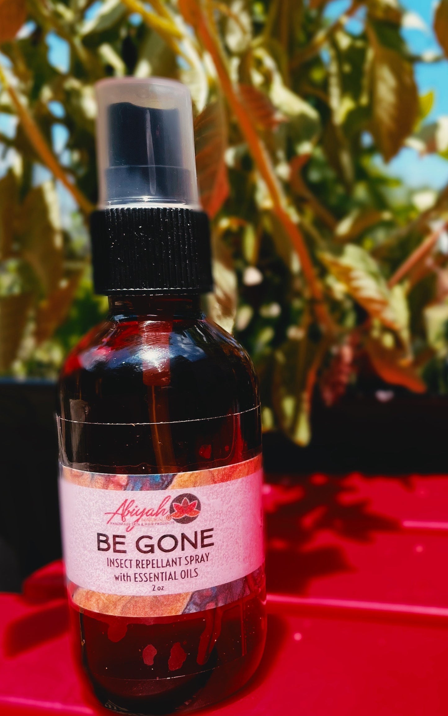 Be Gone Insect Repellant Spray