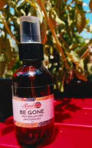 Be Gone Insect Repellant Spray